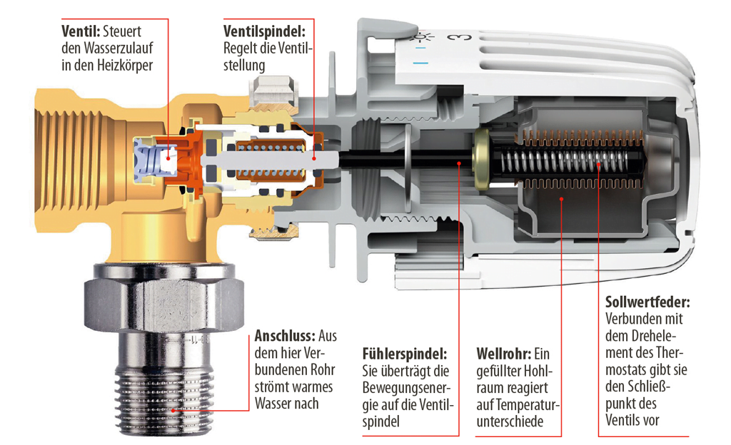 Thermostatventil mit Thermostatkopf